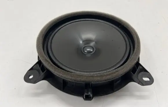 Front door speaker