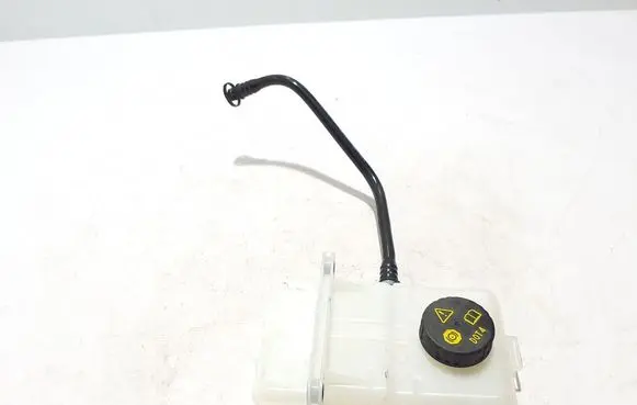 Renault Kangoo III Brake fluid reservoir 460913338R