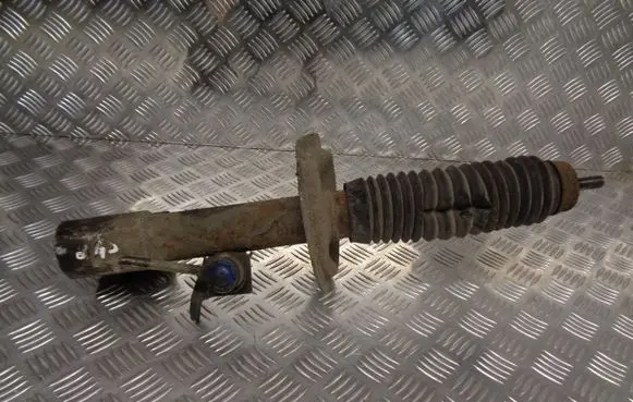 Citroen C4 I Front shock absorber/damper