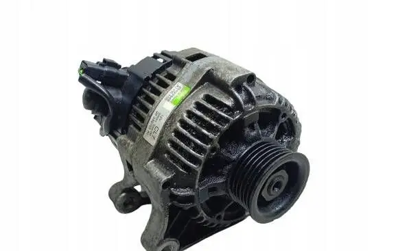 Peugeot 206 Generator/alternator 2542394B 9638275580 59651S4900