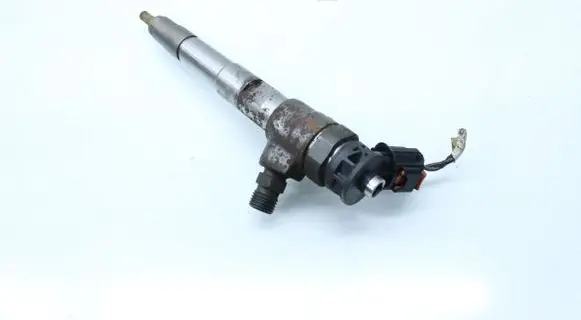 Dacia Dokker Fuel injector H8201636333