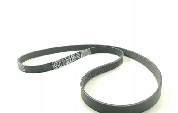 Ferrari F430 Alternator belt 219847