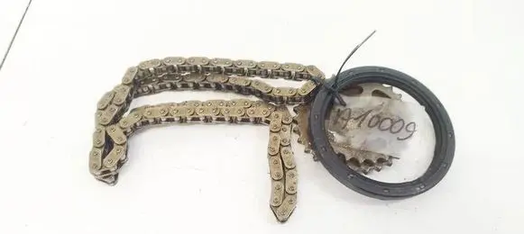 Audi A6 S6 C6 4F Timing chain (engine) 
