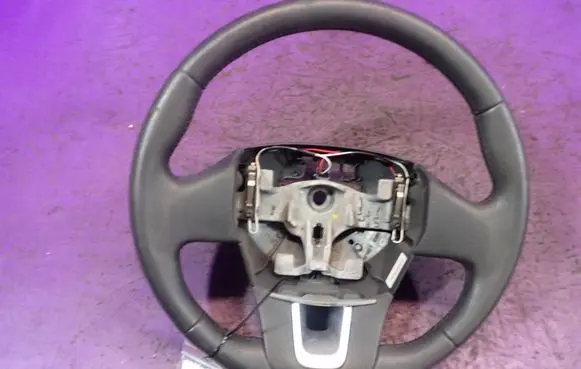 Renault Laguna III Steering wheel 484300013R