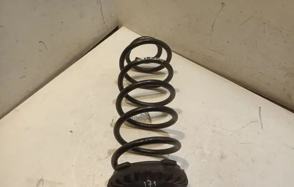 Rear coil spring