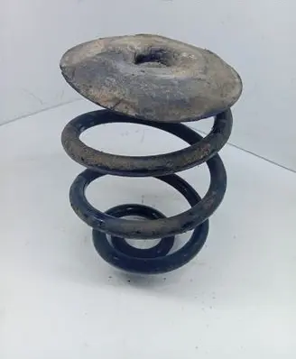 Rear coil spring