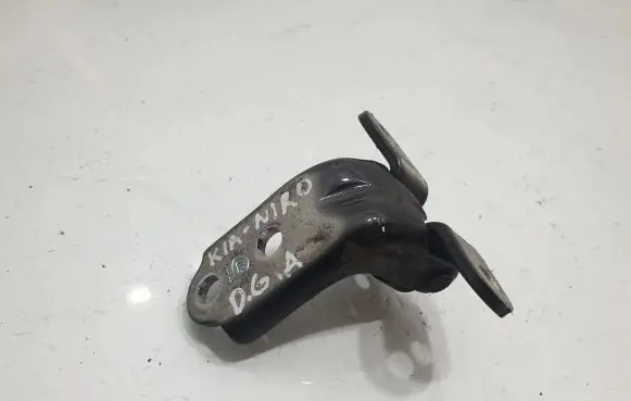 KIA Niro Rear door lower hinge