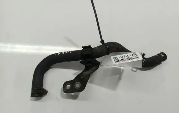 Nissan Almera Tino Engine coolant pipe/hose 