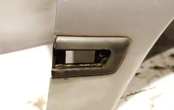 Fender trim (molding)
