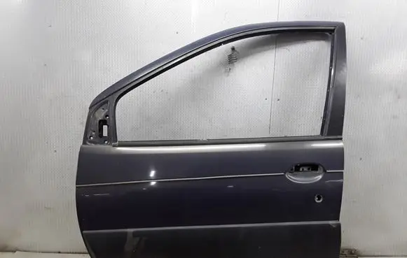 Renault Scenic RX Front door