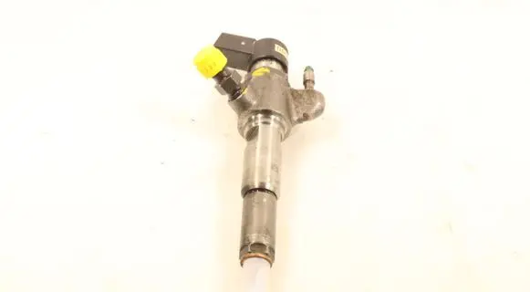 Citroen C4 I Picasso Fuel injector 9674973080