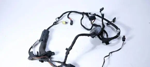 Audi A6 S6 C7 4G Front door wiring loom 4G5971029CG