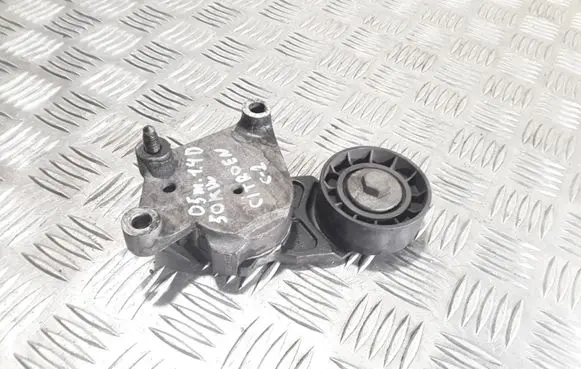 Citroen C2 Generator/alternator belt tensioner