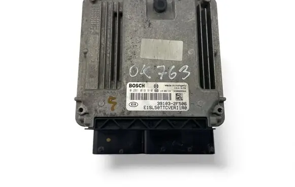 KIA Sportage Engine control unit/module ECU 391032F506 0281019910