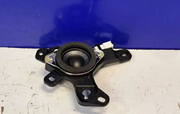 Lexus RX 330 - 350 - 400H Panel speaker 8616048270