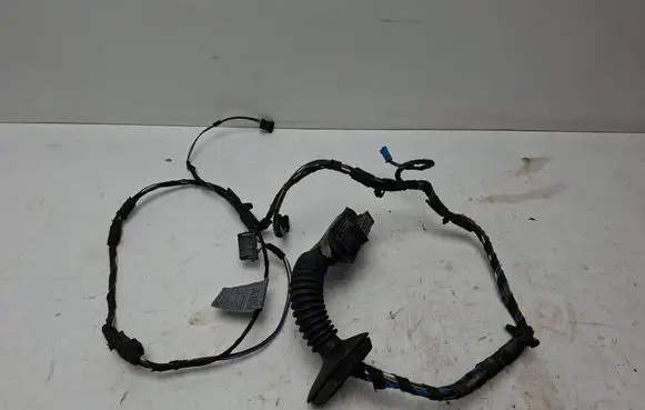 BMW 1 E81 E87 Front door wiring loom 6928656 1110781 11107811