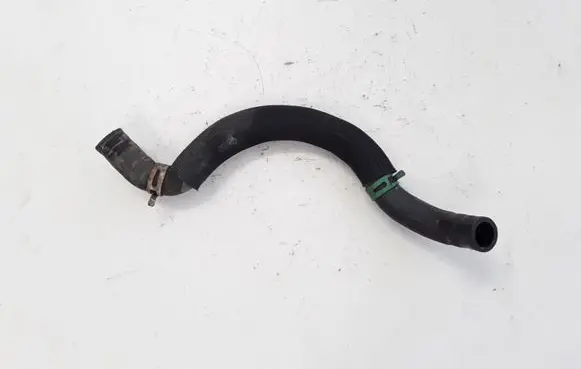 Renault Laguna III Engine coolant pipe/hose 924387868R