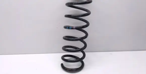 Ford Focus C-MAX Rear coil spring