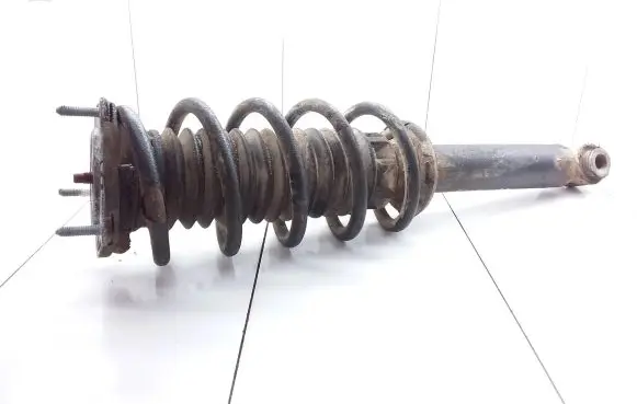Peugeot 407 Front shock absorber with coil spring