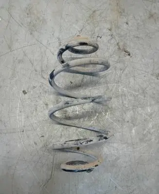 Rear coil spring