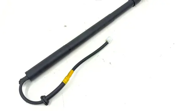 Toyota RAV 4 (XA50) Tailgate/trunk strut/damper 689200R130 4101630225