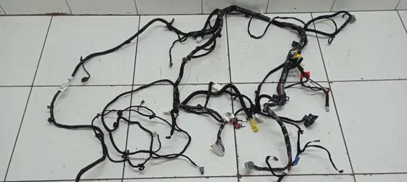 Tesla Model 3 Other wiring loom P311769000B