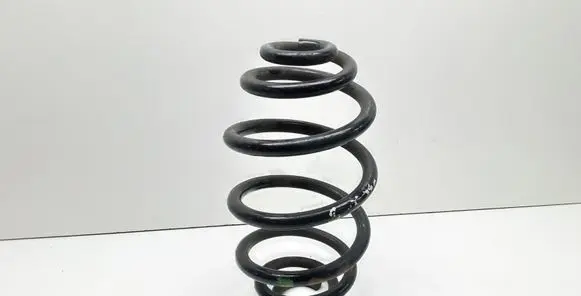 Volkswagen PASSAT B5 Rear coil spring