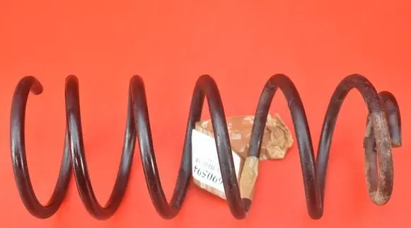 Rear coil spring