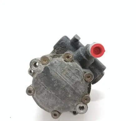 Renault Trafic II (X83) Power steering pump 491101050R 7613955611