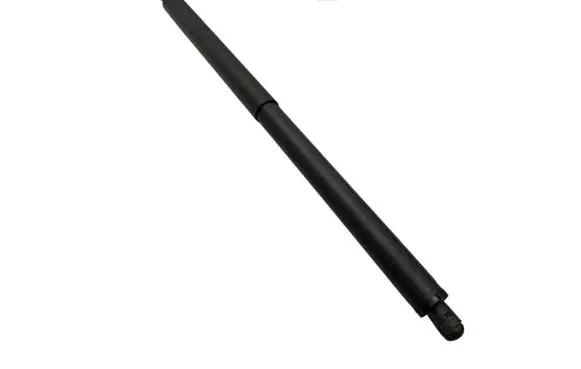 Tailgate/trunk strut/damper