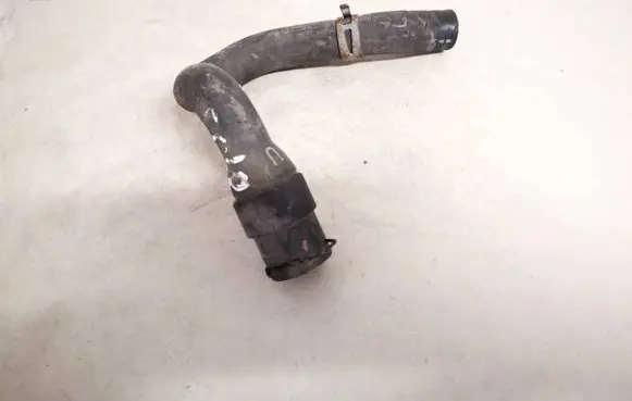 Mercedes-Benz A W169 Engine coolant pipe/hose a1698301096