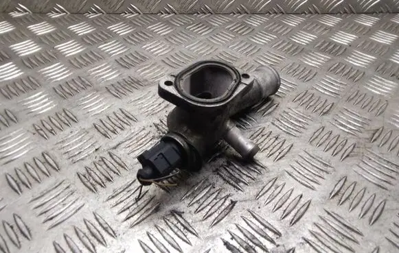 Thermostat/thermostat housing