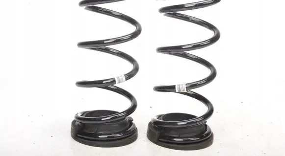 Ford Focus Rear coil spring JX615560TEB