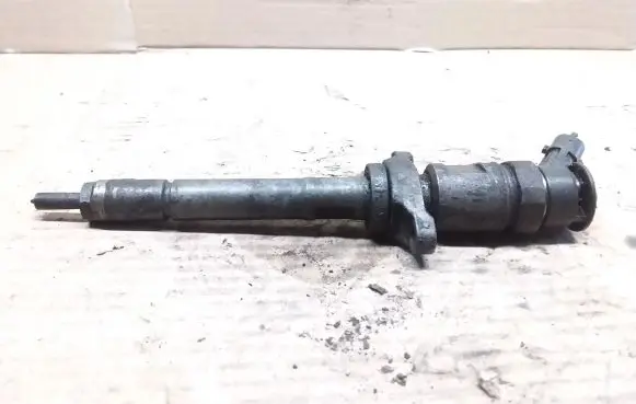 Ford Focus Fuel injector 9M5Q9F593AA 0445110353