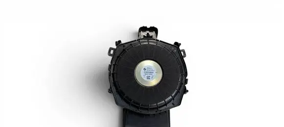 BMW X3 G01 Subwoofer speaker 6811926 53038
