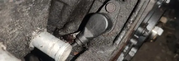 Seat Alhambra (Mk1) Crankshaft position sensor