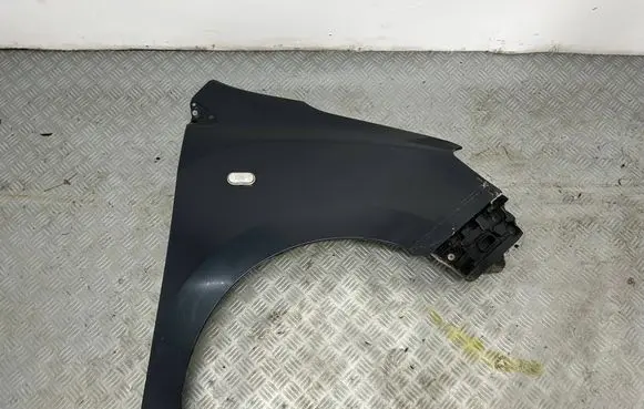 Dacia Lodgy Fender