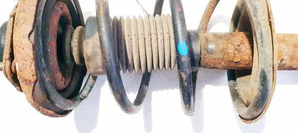 Nissan Almera Tino Front coil spring 