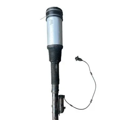 Mercedes-Benz S W220 Rear shock absorber/damper C08605405 020531004162