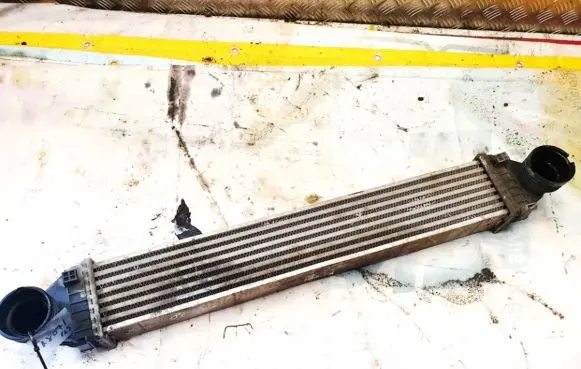 Mercedes-Benz B W245 Intercooler radiator a1695000000 q04g0976