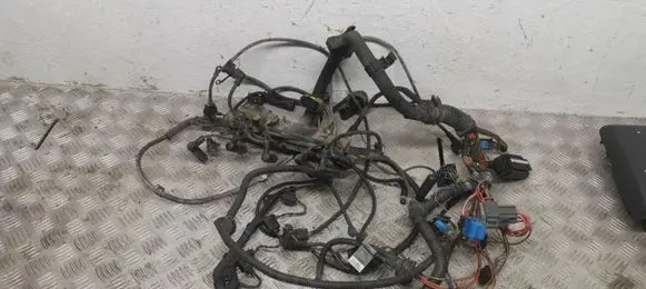 BMW 3 E46 Engine installation wiring loom 7790030