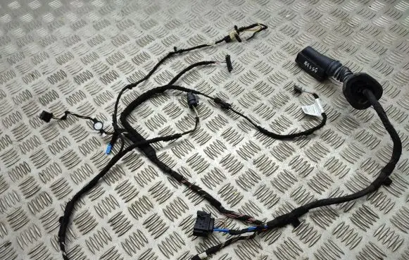 Front door wiring loom