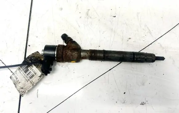 Hyundai Accent Fuel injector 0445110256 338002a400