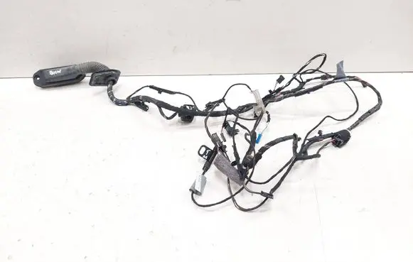 BMW X6 E71 Front door wiring loom 9239540 7209882 14972610