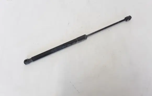 Renault Megane III Tailgate strut 844300009R