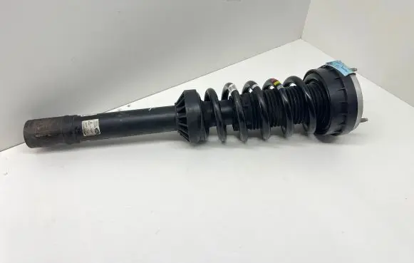 Jaguar F-Pace Front shock absorber with coil spring HK8318B036ME 20160517122358B