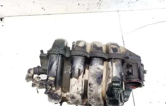 Volkswagen Golf V Intake manifold 2900310509 03c129711f