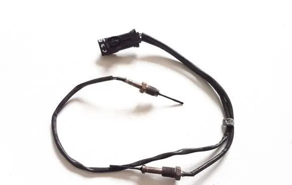 Citroen C3 Exhaust gas temperature sensor 9812376480 01D147200