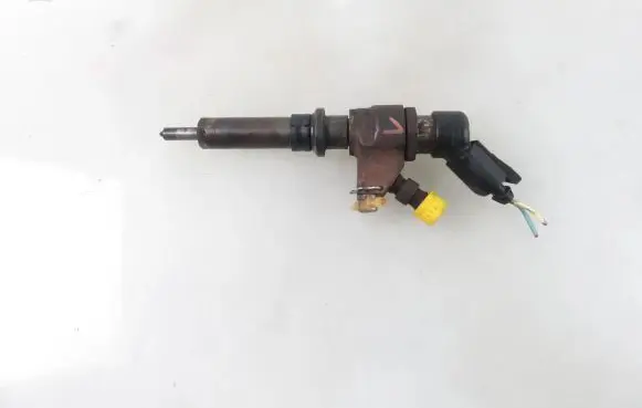 Peugeot Partner Fuel injector 9652173780