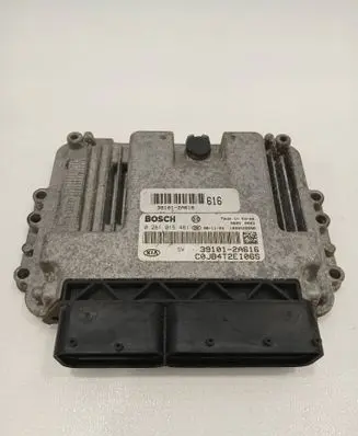KIA Rio Engine control unit/module 391012A616 0281015461